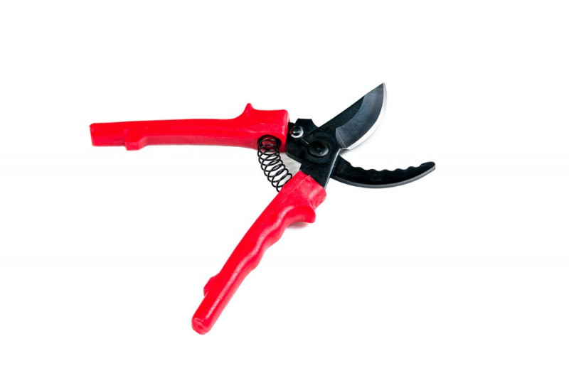 Секатор садовый одностороннего резания