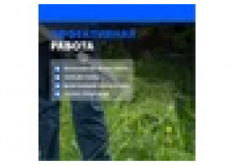 Вилы навозные 4-х-рогие кованные АРТИ